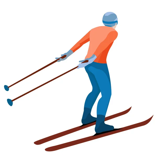 Skier standing with his back — Stock Vector