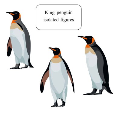 Antarktika kral penguenlerinin üç figürü