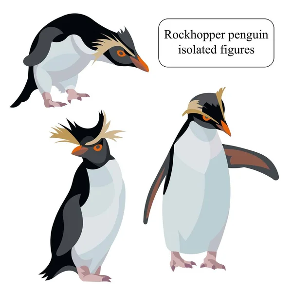 Figuras de un pingüino rockhopper sudamericano de pie, inclinado, levantando alas — Vector de stock