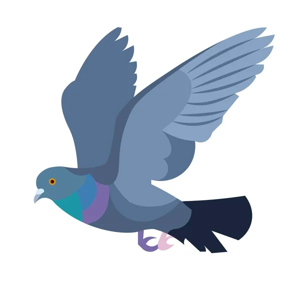 Figura aislada de una paloma gris voladora — Vector de stock