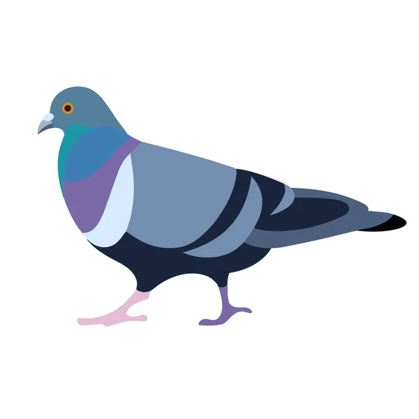 푸른 비둘기의 외따로 서 있는 실루엣 — 스톡 벡터