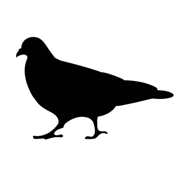 Silueta aislada de una paloma azul — Vector de stock