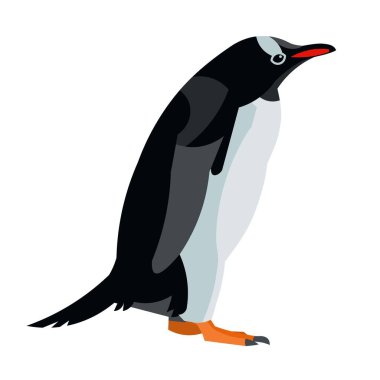 Antarctic Adele pengueninin yalnız figürü profilde yürüyor