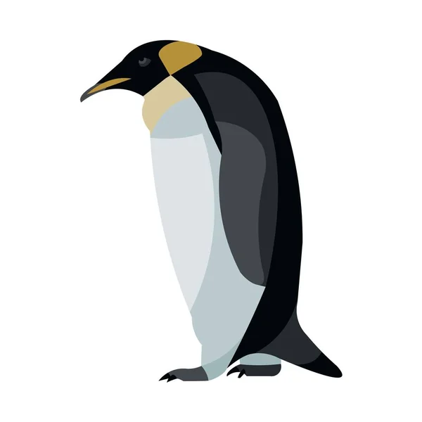 Figura Isolata Del Pinguino Imperatore Antartico Che Cammina Profilo — Vettoriale Stock