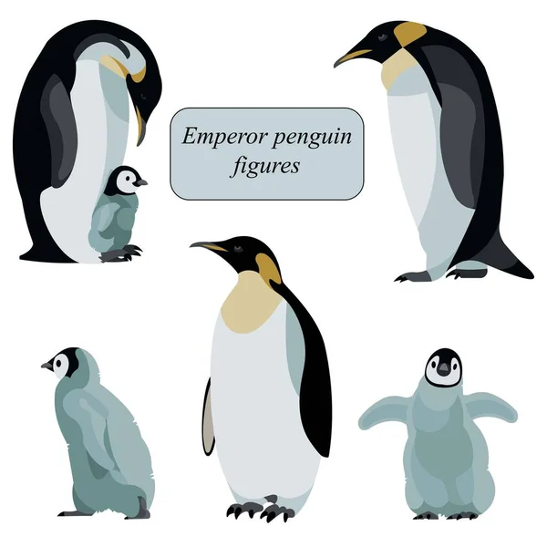 Família de pinguins imperador antártico figuras isoladas — Vetor de Stock