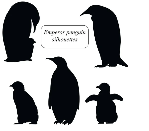 Famiglia di pinguini imperatore antartico silhouette isolate — Vettoriale Stock