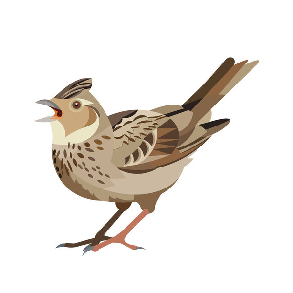 Lark stands on its paws and sings. Isolated vector shape