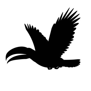 Büyük sarı gagalı uçan bir Tukan 'ın izole vektör silueti.