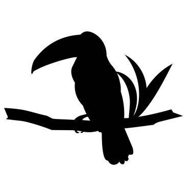 Bir dalın üzerine tünemiş egzotik bir Güney Amerika kuşunun izole vektör silueti.