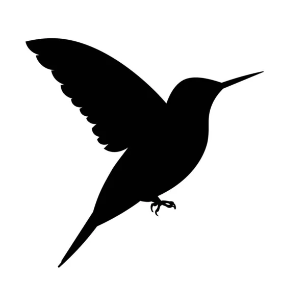 Векторный Изолированный Чёрный Силуэт Американской Колибри Машущей Крыльями — стоковый вектор