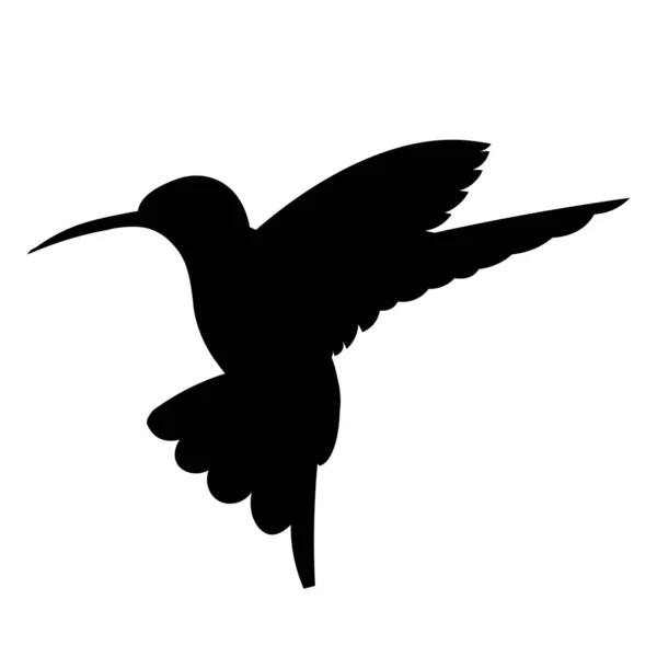 Μαύρο Διάνυσμα Απομονωμένη Σιλουέτα Ενός Φτερουγίσματος Κολιμπρί Λευκό Φόντο — Διανυσματικό Αρχείο