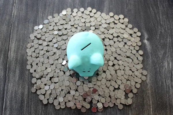 Silver Coins Savings Investment Fund Piggy Bank — Fotografia de Stock