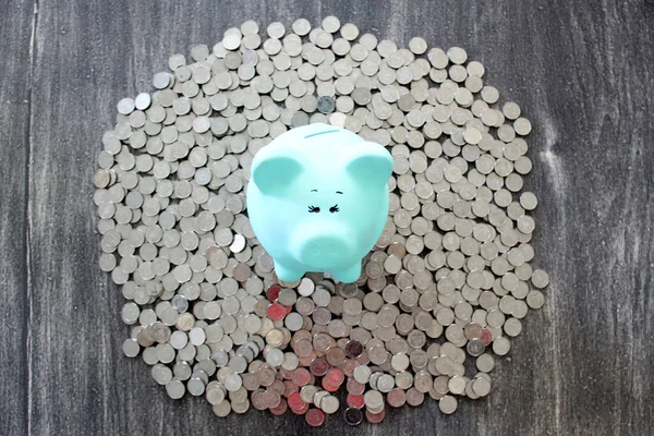 silver coins for savings and investment fund in piggy bank