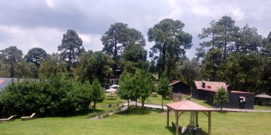 Ormandaki kulübe, ormandaki ağaçların ortasındaki kır evi ve ormandaki çam ağaçları.