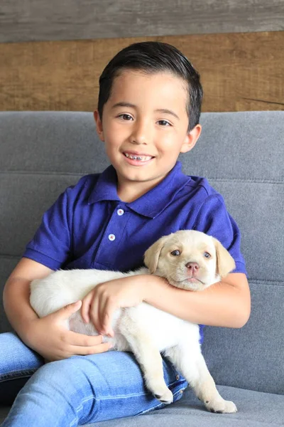 6岁男孩 蓝色马球衫 拉布拉多小狗 友谊和新家庭 — 图库照片