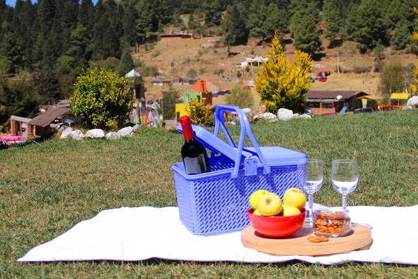 picnic, basket with food, wine and books. green grass and trees in forest outdoors background