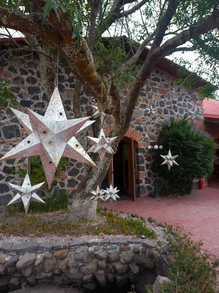 Decoración Del Jardín Estrellas Plata Adornando Árbol Fuera Casa Piedra — Foto de Stock