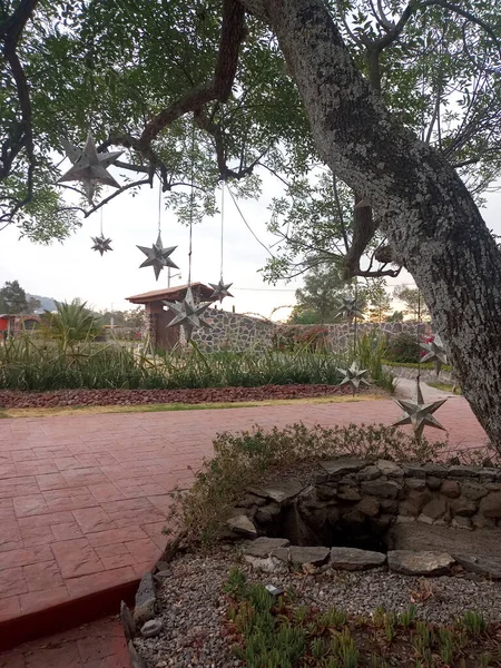 Décoration Jardin Étoiles Argentées Ornant Arbre Extérieur Maison Pierre — Photo