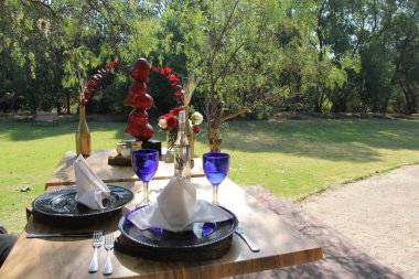 Zarif tabak ve kadehlerle süslü sevgililer günü, açık havada aşıklar için kahvaltı