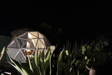 Kaktüs gece görüşü ortasında Glamping Jeodezik Kubbe lüks kamp çadırı
