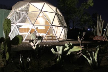 Kaktüs gece görüşü ortasında Glamping Jeodezik Kubbe lüks kamp çadırı