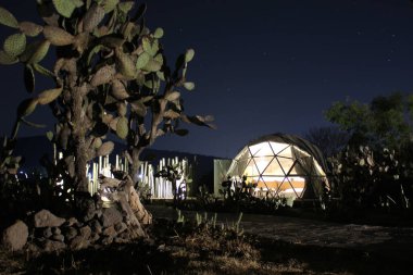 Kaktüs gece görüşü ortasında Glamping Jeodezik Kubbe lüks kamp çadırı