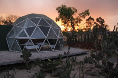 Gün batımında kaktüsün ortasında Glamping Jeodezik Kubbe lüks çadırı