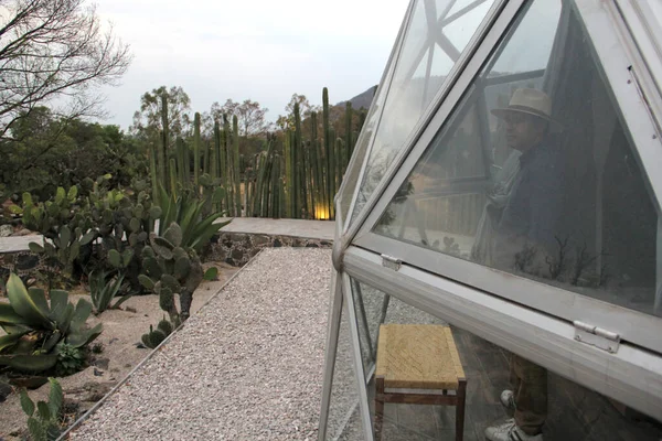 Latin Bir Adam Jeodezik Bir Çadırın Penceresinden Manzaranın Keyfini Çıkarıyor — Stok fotoğraf