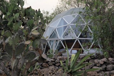 Meksika 'daki kaktüs ormanının ortasındaki jeodezik çadır.