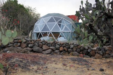 Meksika 'daki kaktüs ormanının ortasındaki jeodezik çadır.