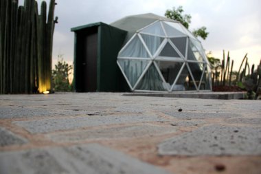 Meksika 'daki kaktüs ormanının ortasındaki jeodezik çadır.