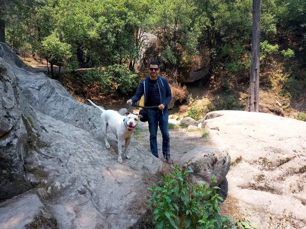 Latino Mature Man Exploring Forest River His Pitbull Dog Middle — Stock Photo, Image