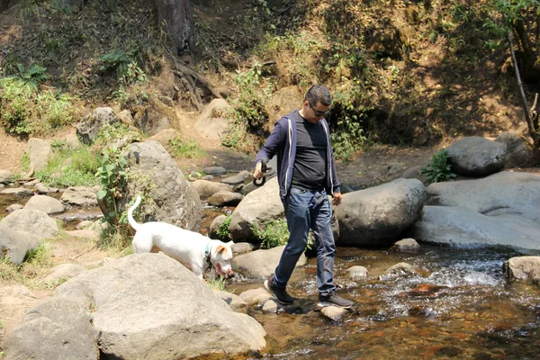 成熟したラテン系の男楽しいです屋外で森を探索する彼の白い丸い犬が川を渡って自然の中で — ストック写真