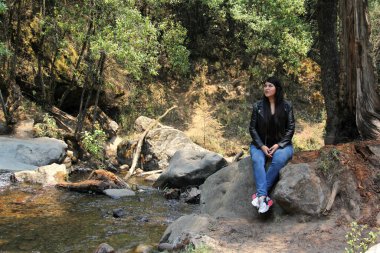 Ormanın ortasında yalnız bir kadın nehirler ve şelaleler arasında meditasyon yapıyor.