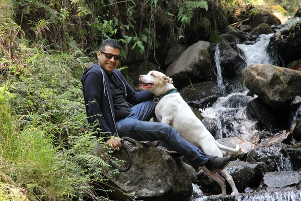 Взрослый Латиноамериканец Исследует Лес Белым Питбулем Среди Рек Водопадов — стоковое фото