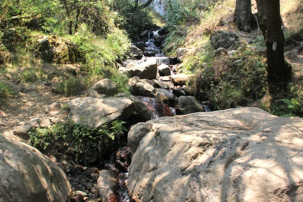 ロスDinamos山の自然の真ん中に川や滝とCdmxの森 — ストック写真