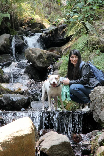 自然の中で川と滝の間の森を歩く白い丸い犬と若いラテン語の女性 — ストック写真