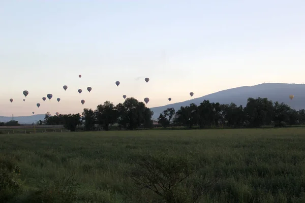 Sonnenaufgang Wald Mit Dem Himmel Voller Farbenfroher Heißluftballons Über Den — Stockfoto
