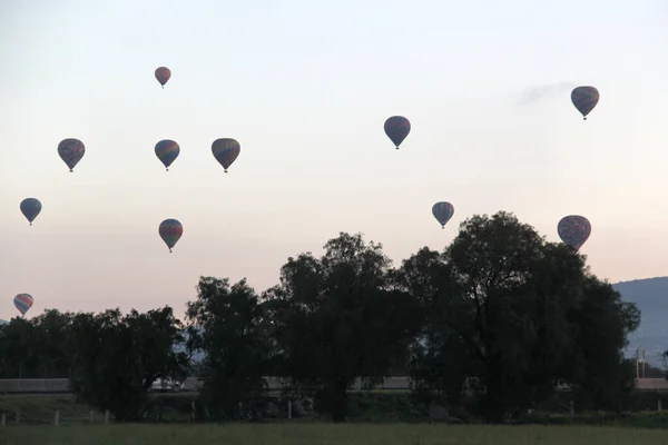 Wschód Słońca Lesie Niebem Pełnym Kolorowych Balonów Gorące Powietrze Nad — Zdjęcie stockowe