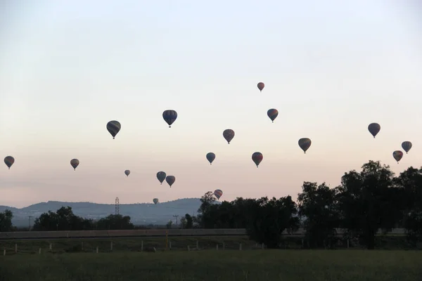 Ormanda Güneş Doğarken Gökyüzü Renkli Sıcak Hava Balonlarıyla Doluyken Ağaçlar — Stok fotoğraf