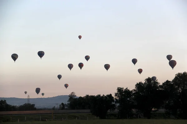 Zonsopgang Het Bos Met Lucht Vol Gekleurde Hete Lucht Ballonnen — Stockfoto