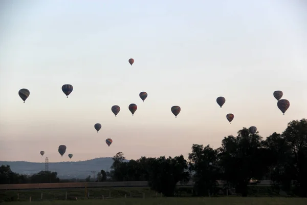 Lever Soleil Dans Forêt Avec Ciel Plein Montgolfières Colorées Dessus — Photo