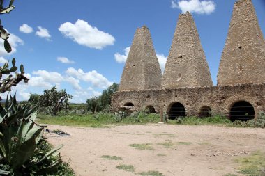 Meksika 'nın büyülü Mineral de Pozos Guanajuato kasabasının sokakları. Nopallar ve kaktüslerle çevrili terk edilmiş madenlerle.