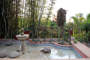 Kaktüs ve kırmızı Meksika usulü kaplarla çevrili taştan fıskiyeli güzel bir bahçe süslemesi.