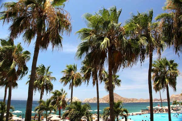 View of the beach with palm trees, mountains in the background and shadows of people enjoying vacations with spectacular landscapes