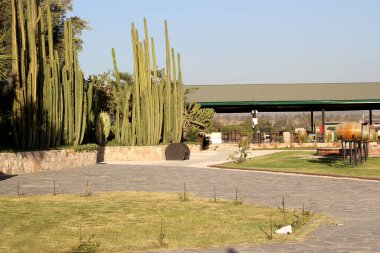 Bahçeleri ve bankları olan, şarap fıçıları ve kaktüs ve dağlarla çevrili spot ışıklarıyla süslenmiş açık alan.