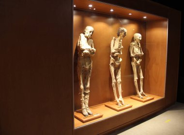 Meksika 'nın başkenti Guanajuato' nun mumyaları şu anda Meksika eyaletinin en büyük turistik yerlerinden biridir.