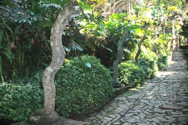 Hermoso Jardín Las Pozas Hecho Por Edward James Surrealista Situado —  Fotos de Stock