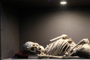 Guanajuato Mumyaları, gümüş madenciliği tarihi ve sömürge mimarisi ile bilinen Meksika 'nın en büyük turistik yerlerinden biridir.