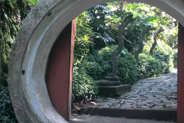 Hermoso Jardín Las Pozas Hecho Por Edward James Surrealista Situado —  Fotos de Stock